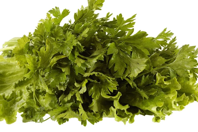 cate calorii are pepenele rosu